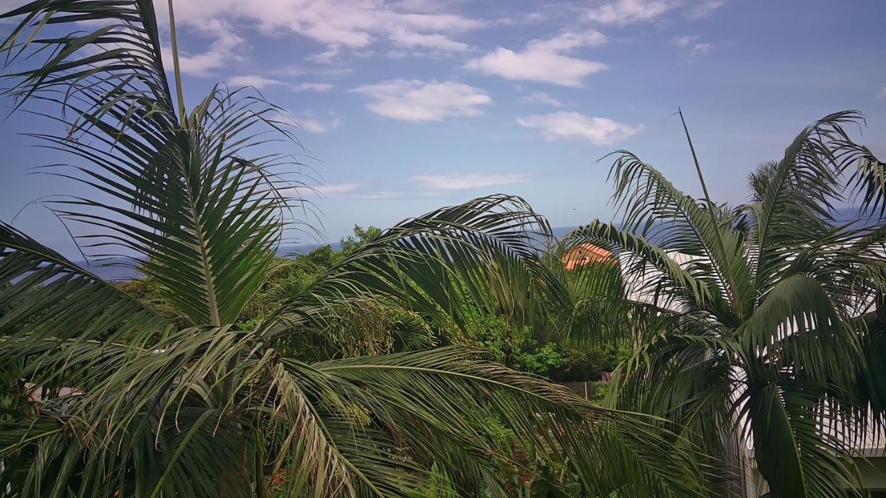 Un Petit Coin De Paradis A La Reunion Saint-Joseph Exterior photo